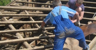 Демонтаж крыш жилых строений в Азнакаево - стоимость от 954 рублей от Сварной-Знк